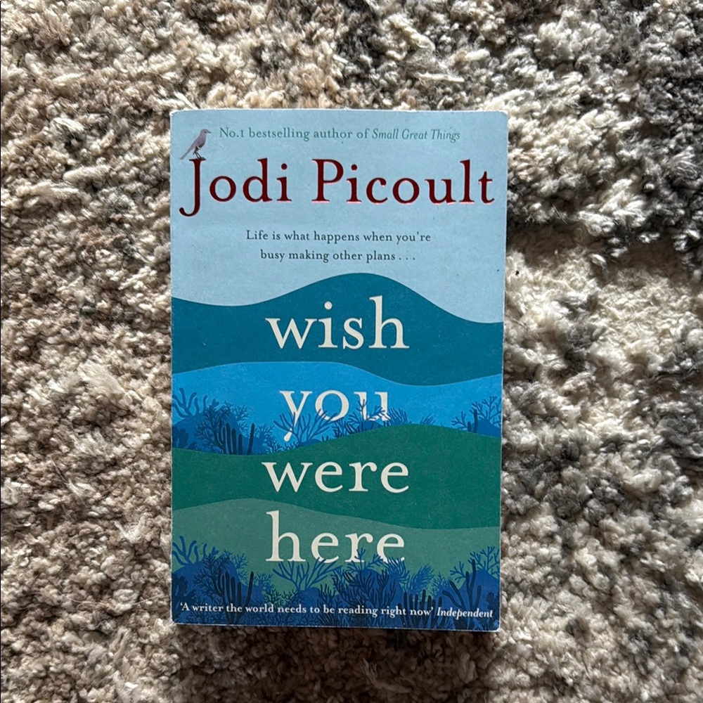 Jodi Picoult 'Wish You Were Here' Book